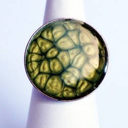 Round ring with green scales