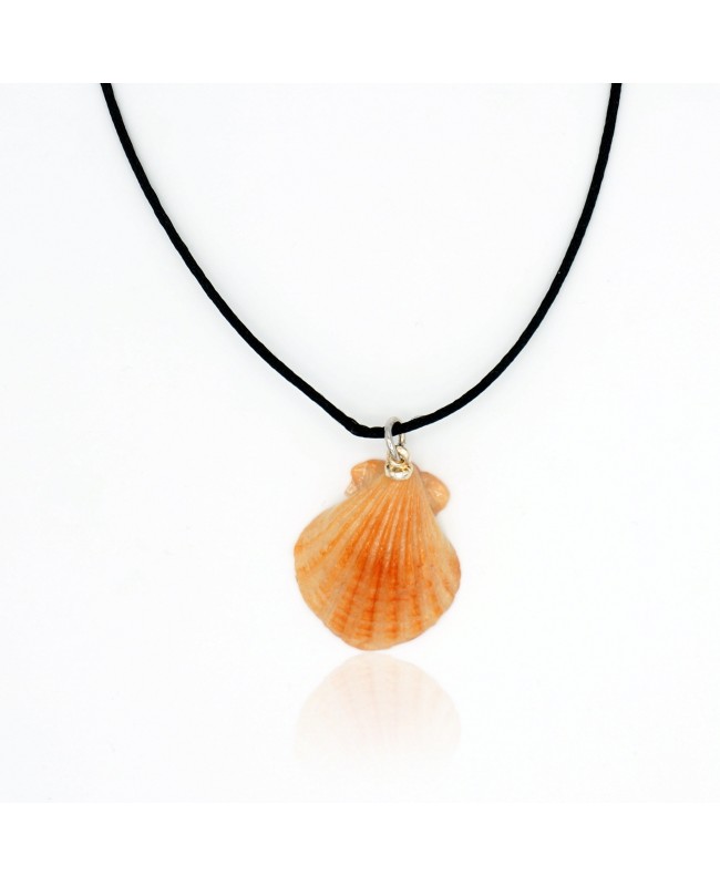 Collier avec un pendentif coquille Saint Jacques Colliers mi-longs