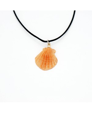 Collier avec un pendentif coquille Saint Jacques Colliers mi-longs