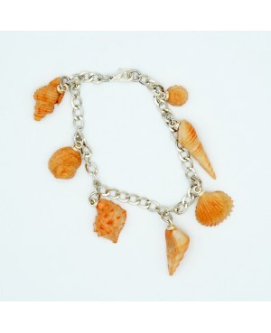 Bracelet coquillages fait main. Bracelets